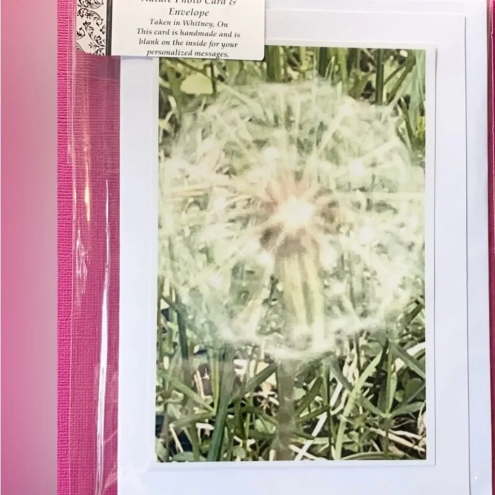 2 for $30 Nature Photo Blank Greeting Cards. Algonquin Spring set of 4 - Picture 3 of 8